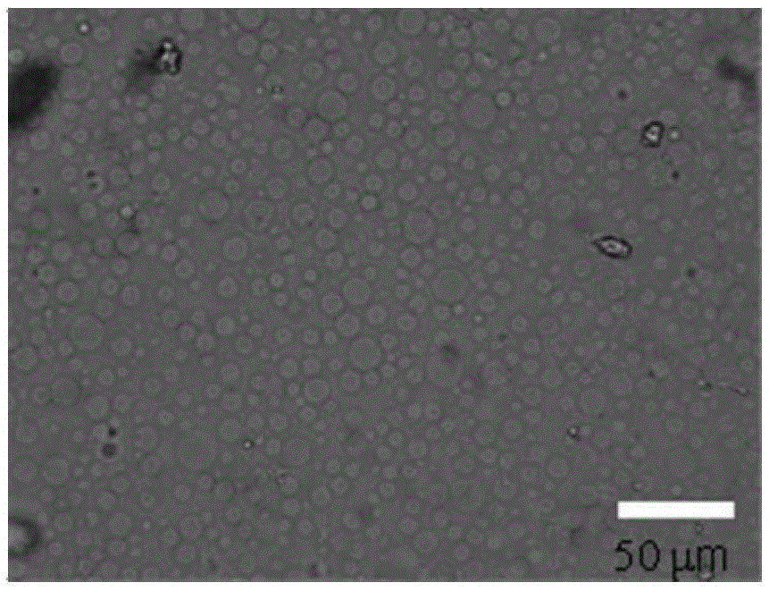 Microcapsule for wrapping solid sunscreen, preparation method and application thereof