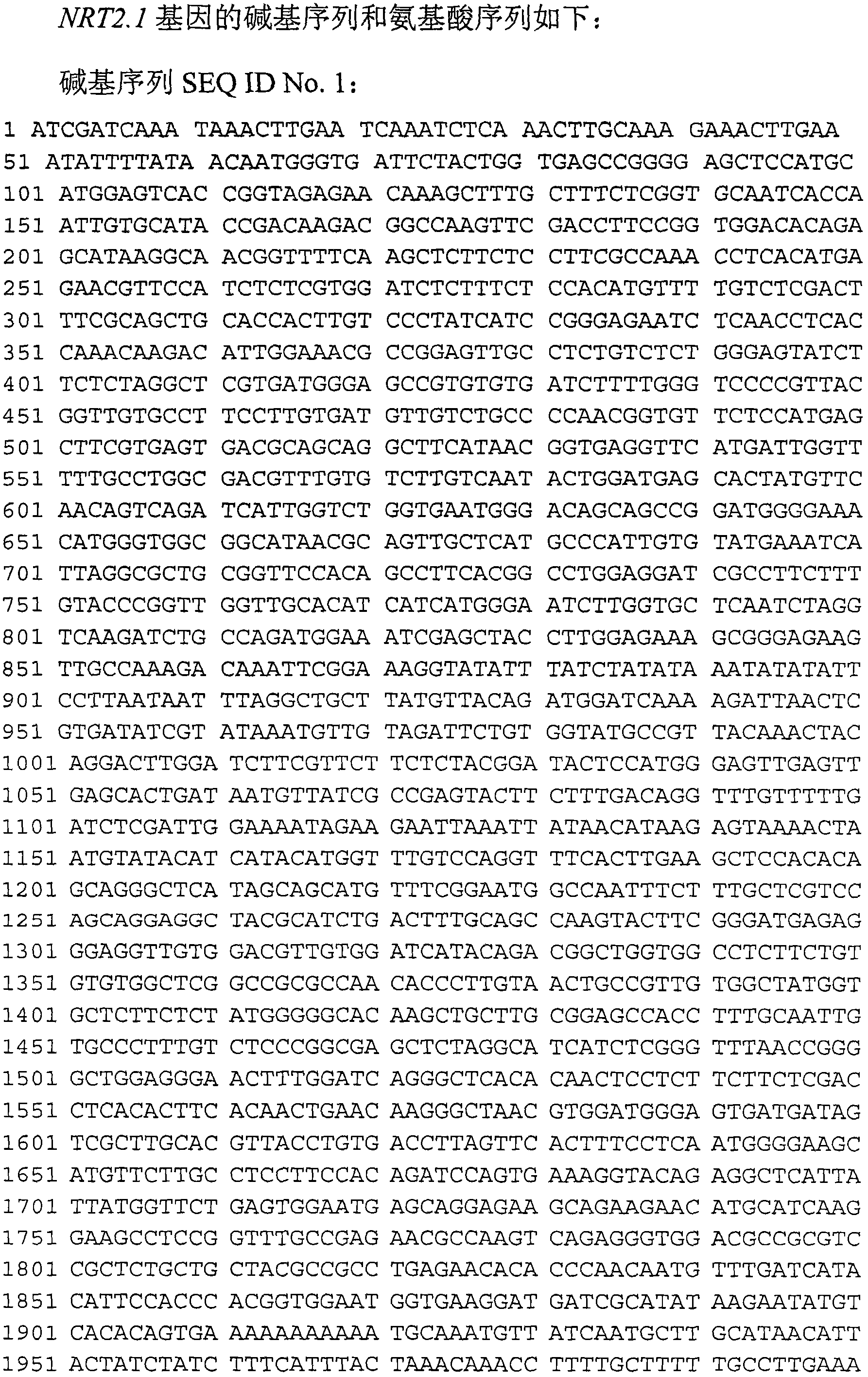 Arabidopsis thaliana nitrate transporter gene NRT2.1, encoding protein and applications thereof