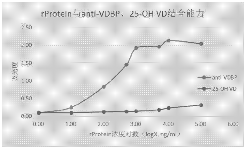 Quantitative-detection test paper strip for 25-hydroxyvitamin D and application of quantitative-detection test paper strip