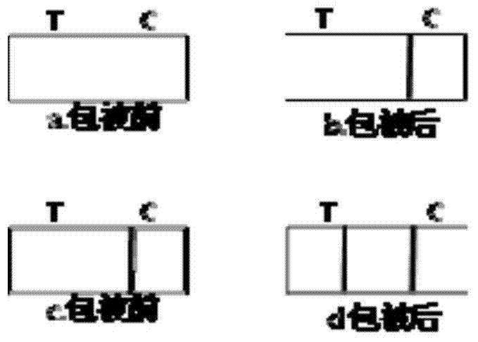 Quantitative-detection test paper strip for 25-hydroxyvitamin D and application of quantitative-detection test paper strip