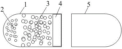 Timed controlled-release amlodipine capsule and preparation method thereof