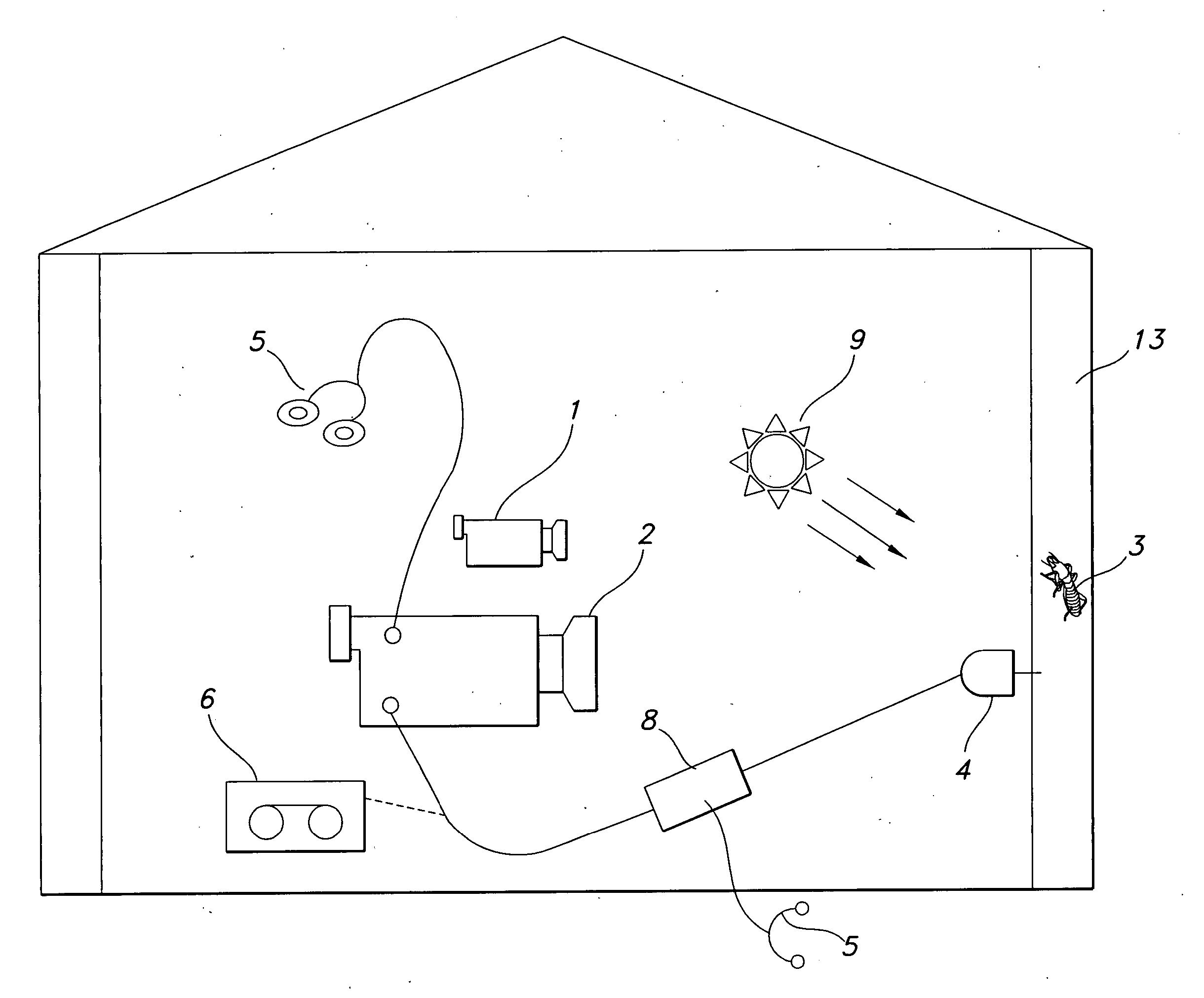 Termite acoustic detection