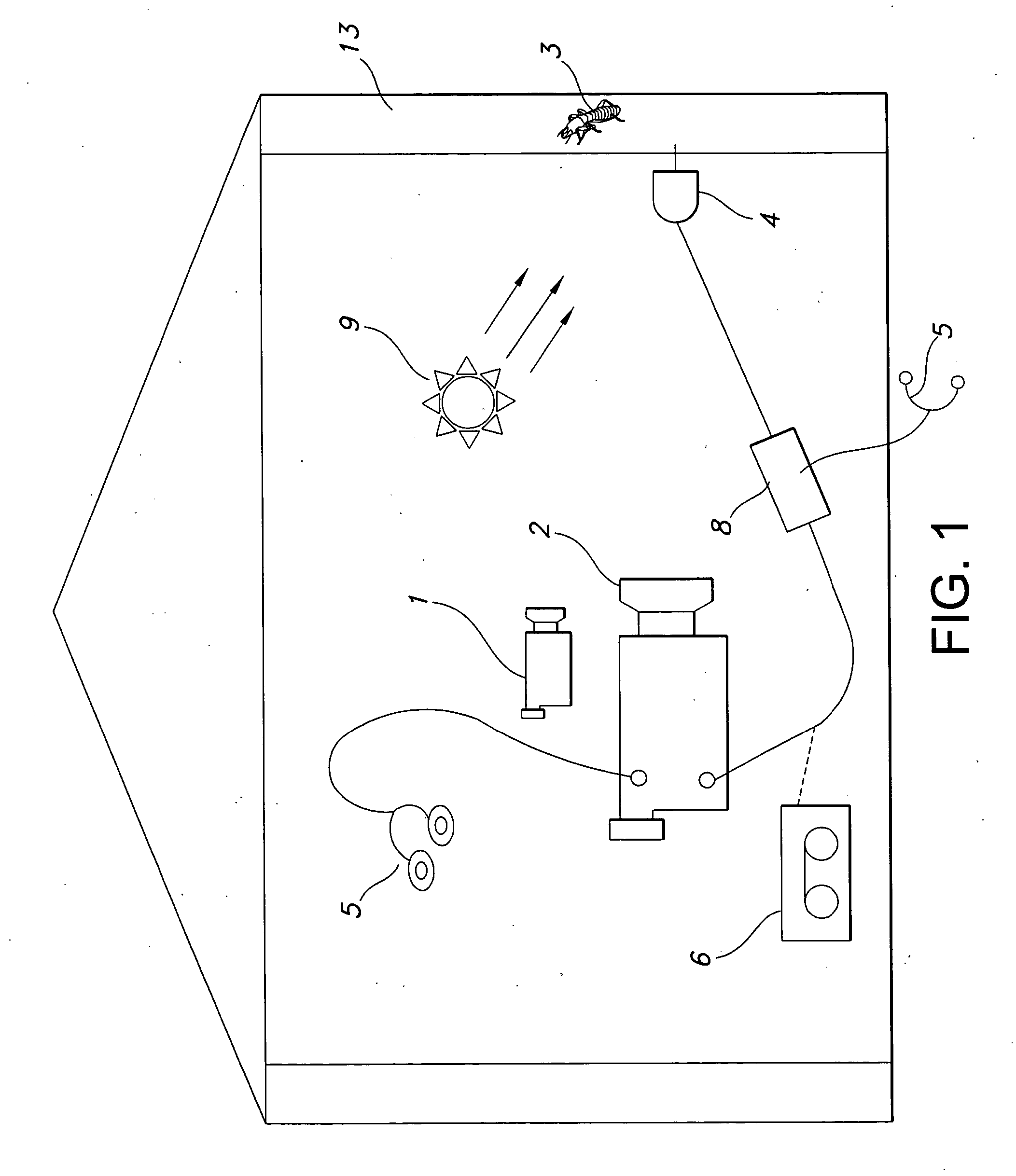 Termite acoustic detection