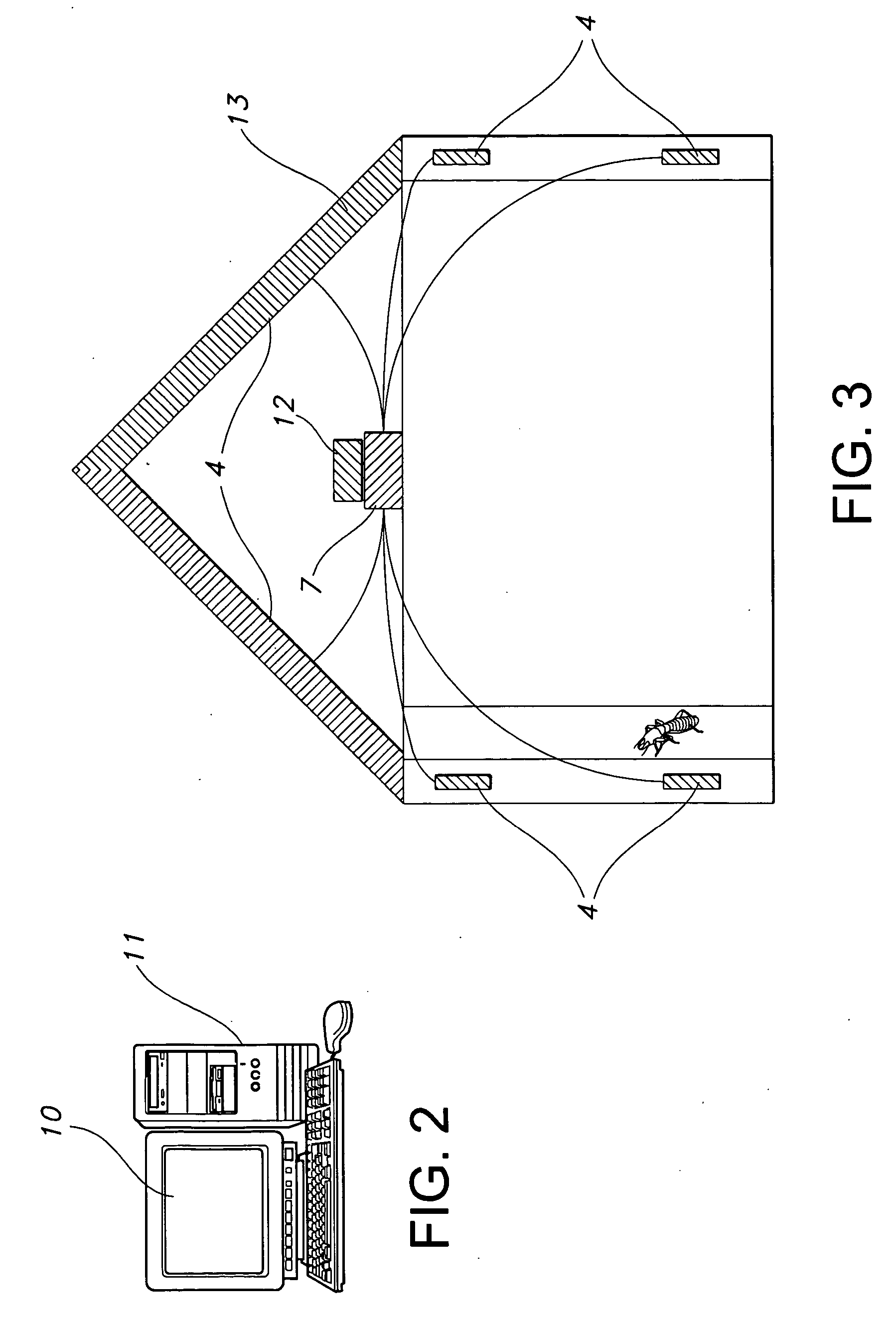 Termite acoustic detection