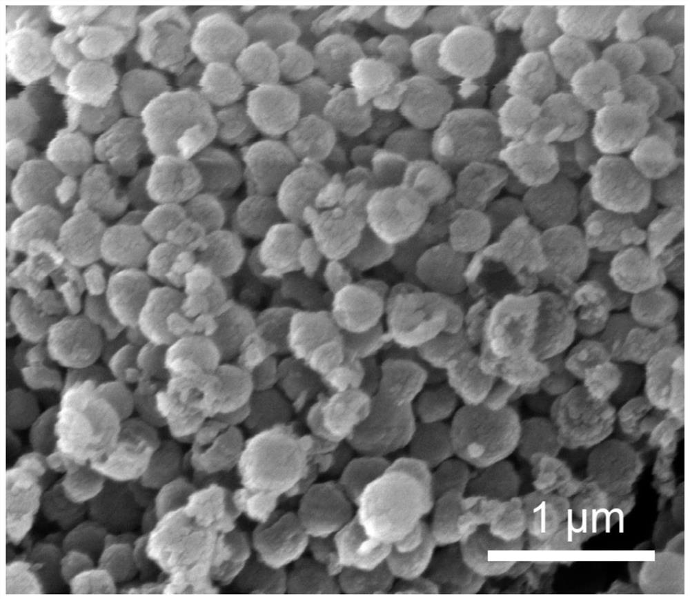 Ionic liquid grafted molecular sieve imidazole framework composite solid polymer electrolyte and preparation method thereof