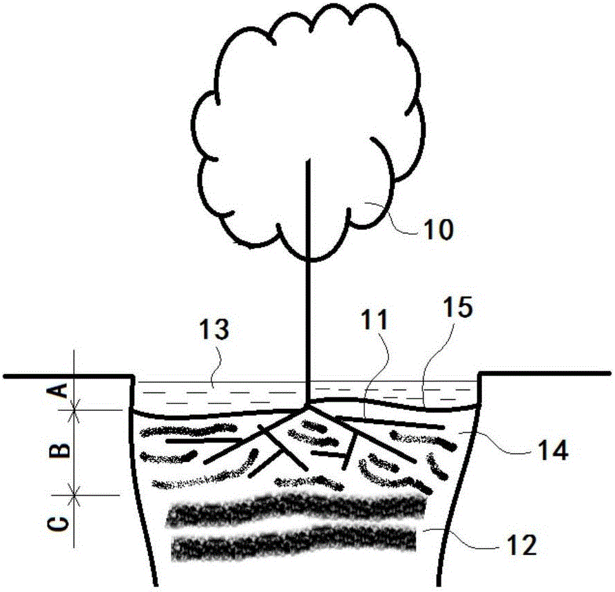 Water-saving synergy irrigation method and device