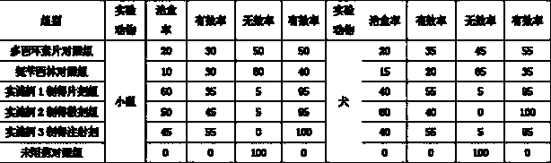 Zilpaterol compound veterinary composition as well as preparation method and application thereof