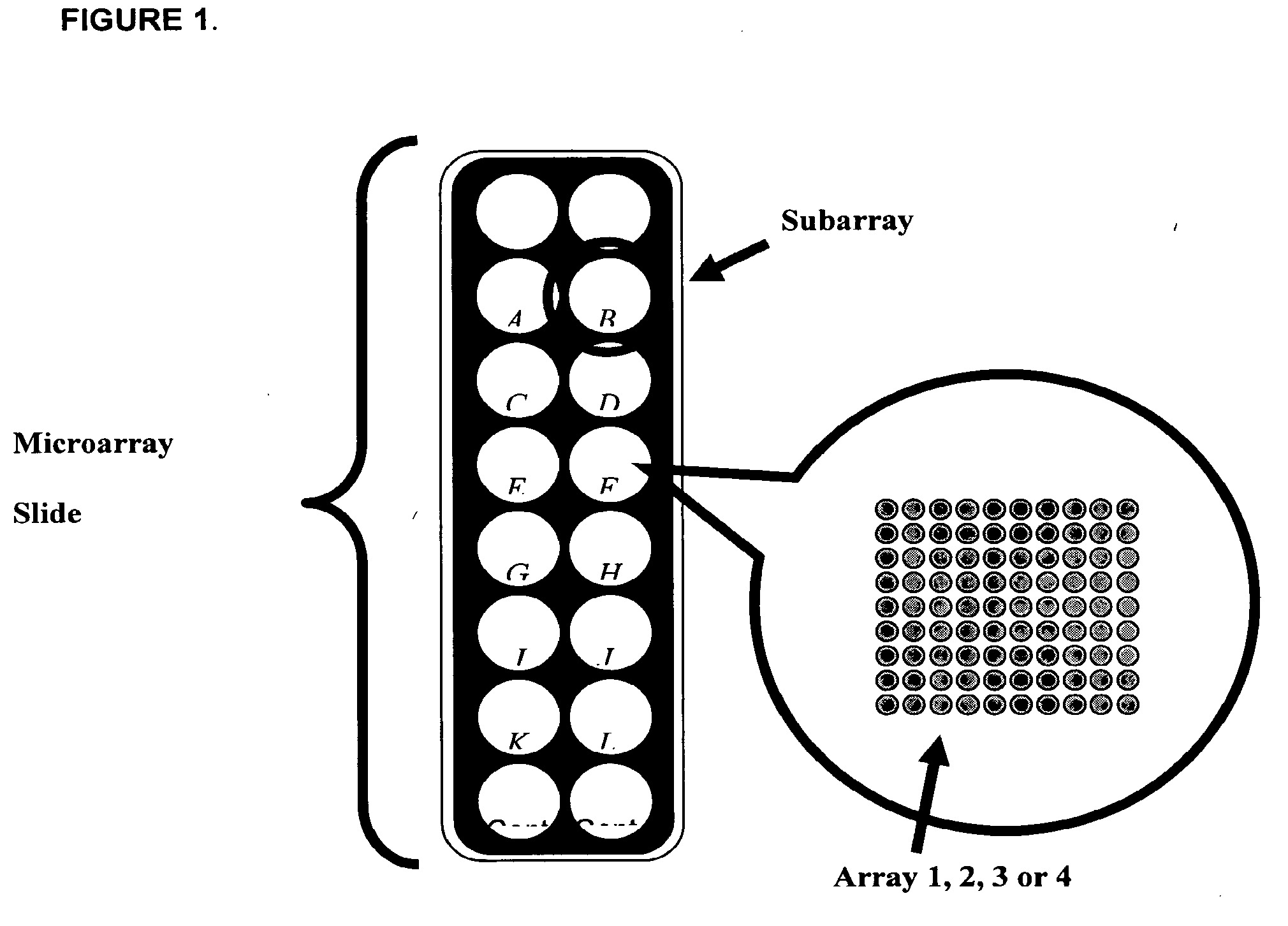 Biomarkers for sepsis