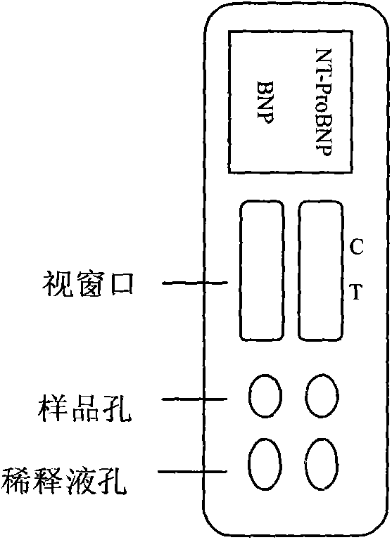 Quick quantitative detecting device and method for simultaneously detecting human brain natriuretic peptides and N-terminal pro-brain natriuretic peptides