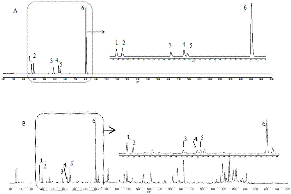 UPLC determination method for polygala root