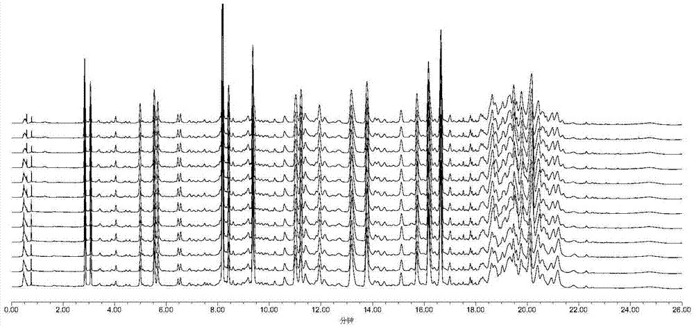 UPLC determination method for polygala root