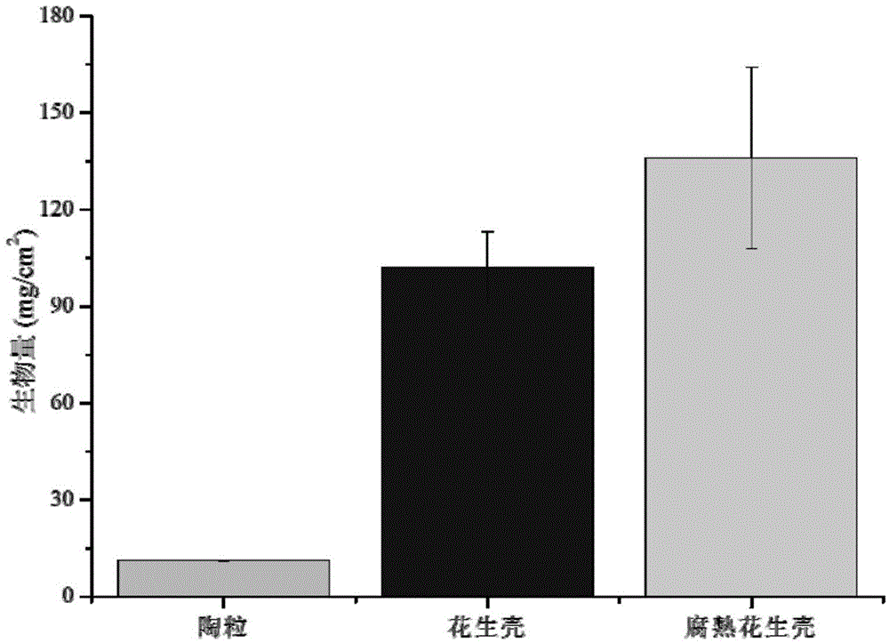 Method and device for culturing periphyton