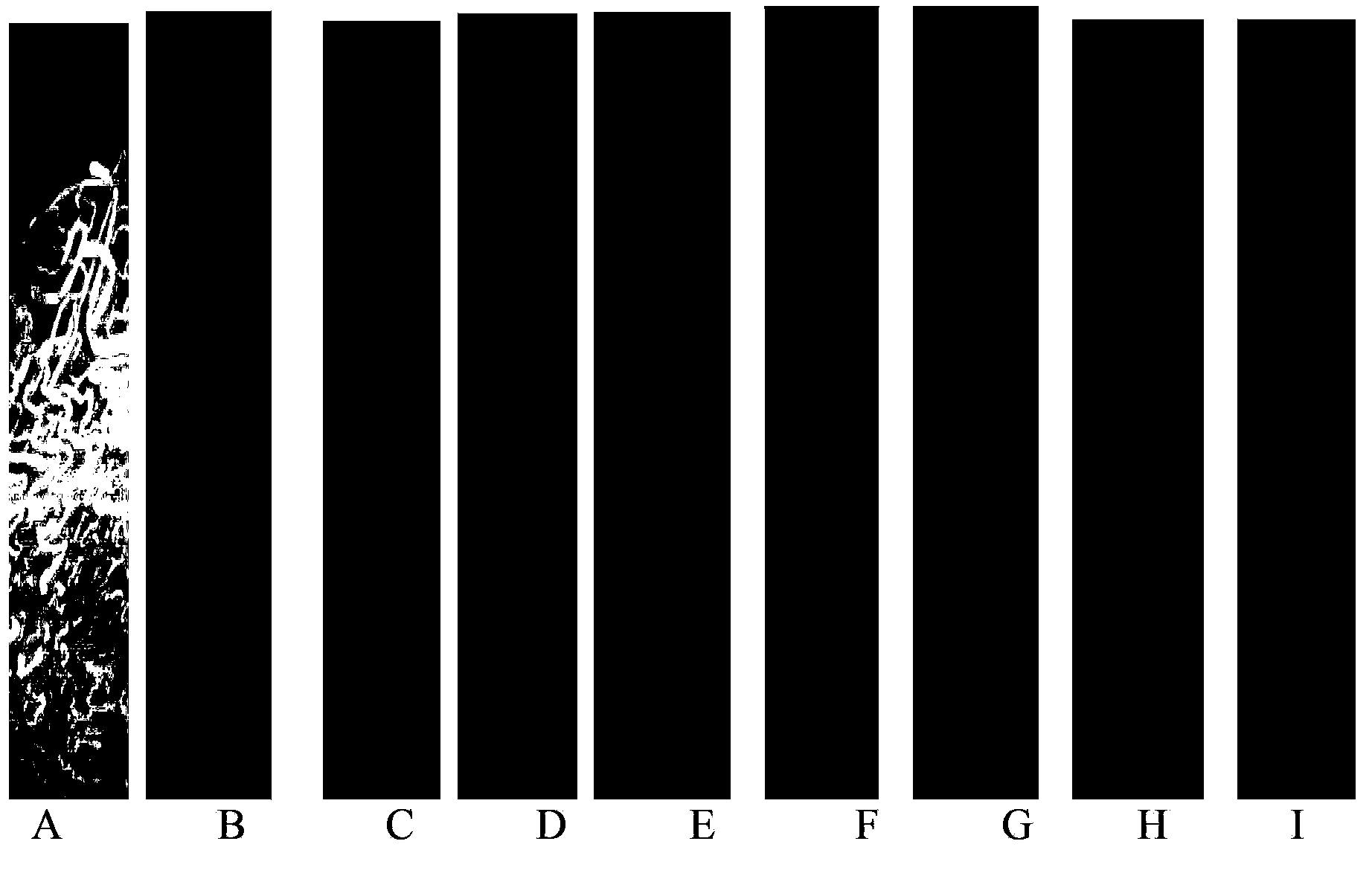 Application of diosgenin-3-site derivative