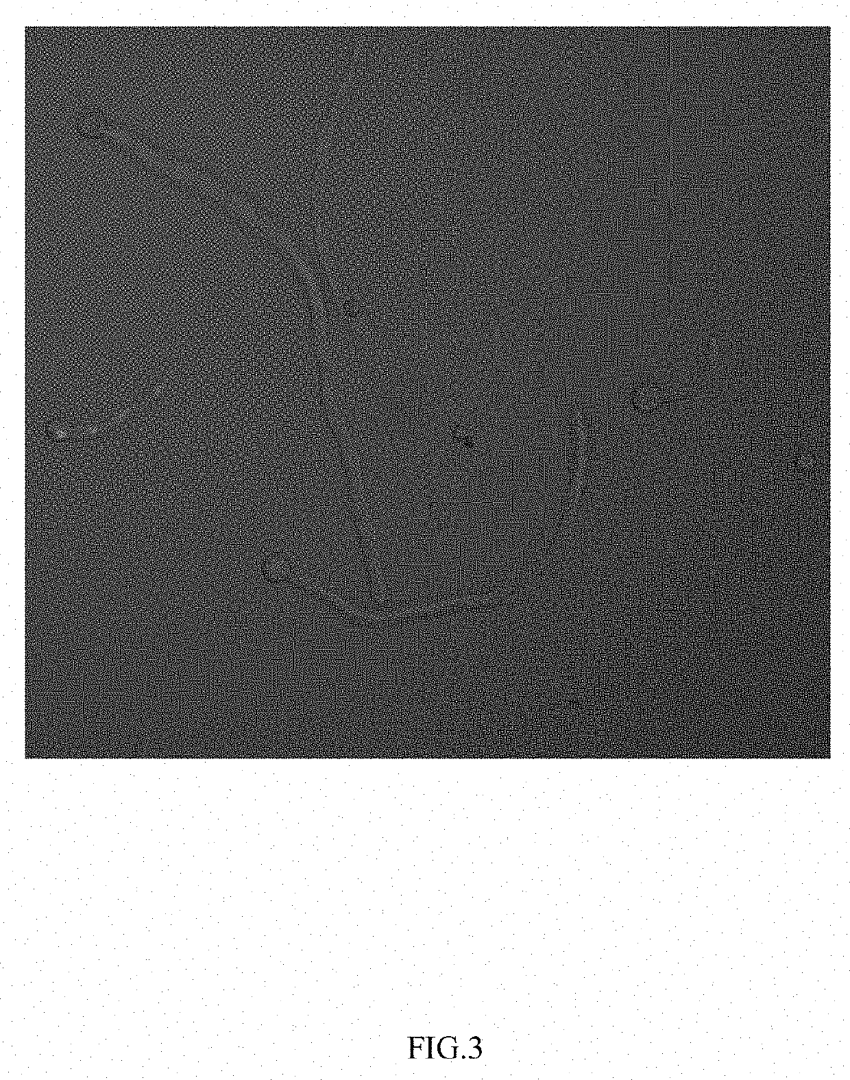 Method to produce protein in aspergillus niger`s sleeping spores using ssrna