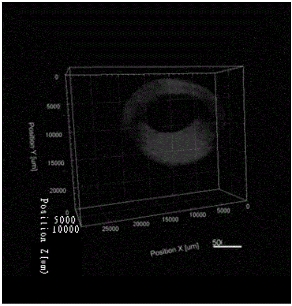 Method for constructing segmental personalized human urethral three-dimensional stent material