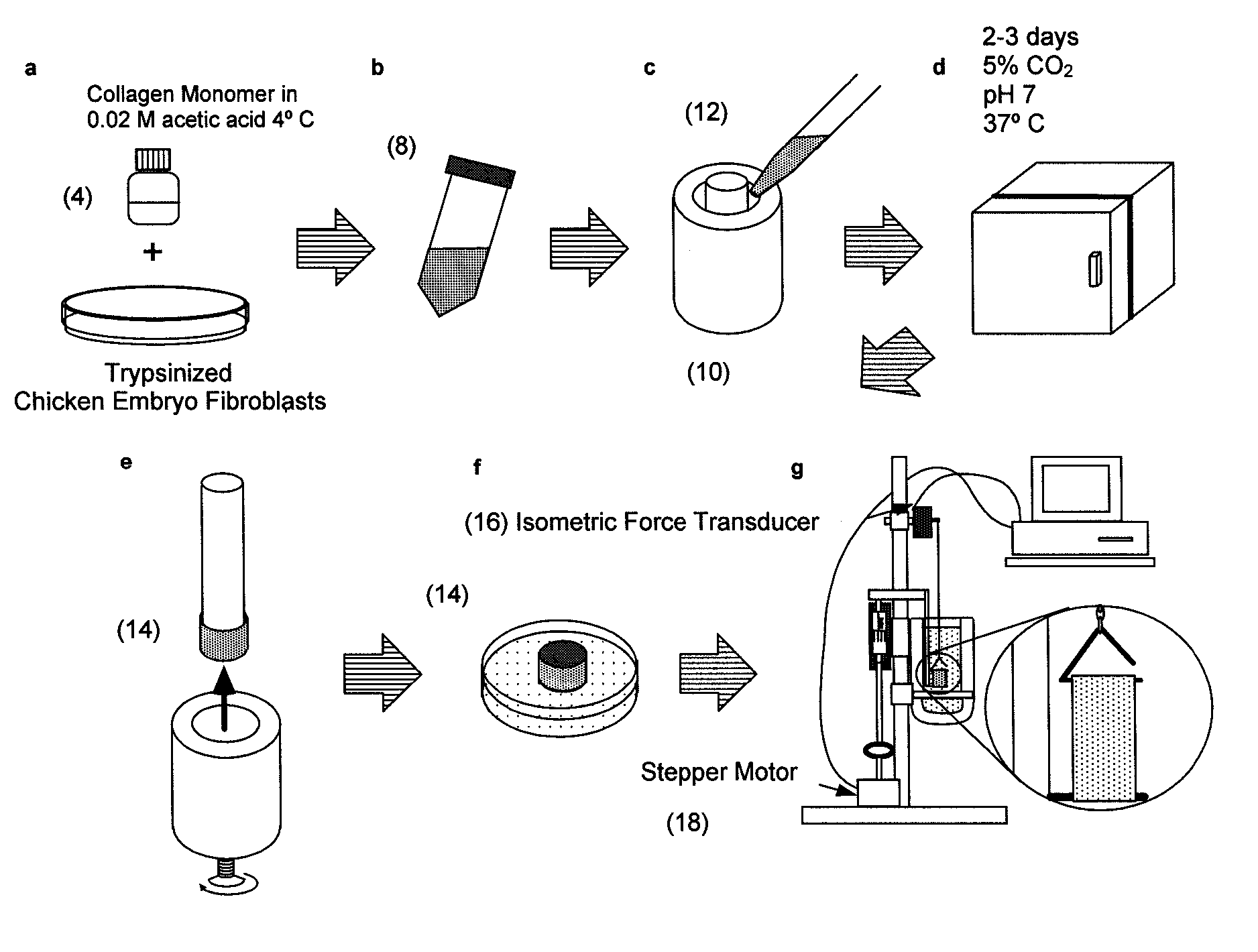 Systems for screening pharmaceutical chemicals