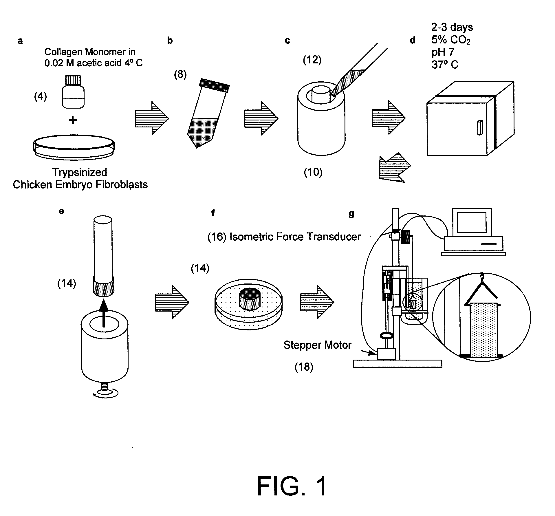 Systems for screening pharmaceutical chemicals