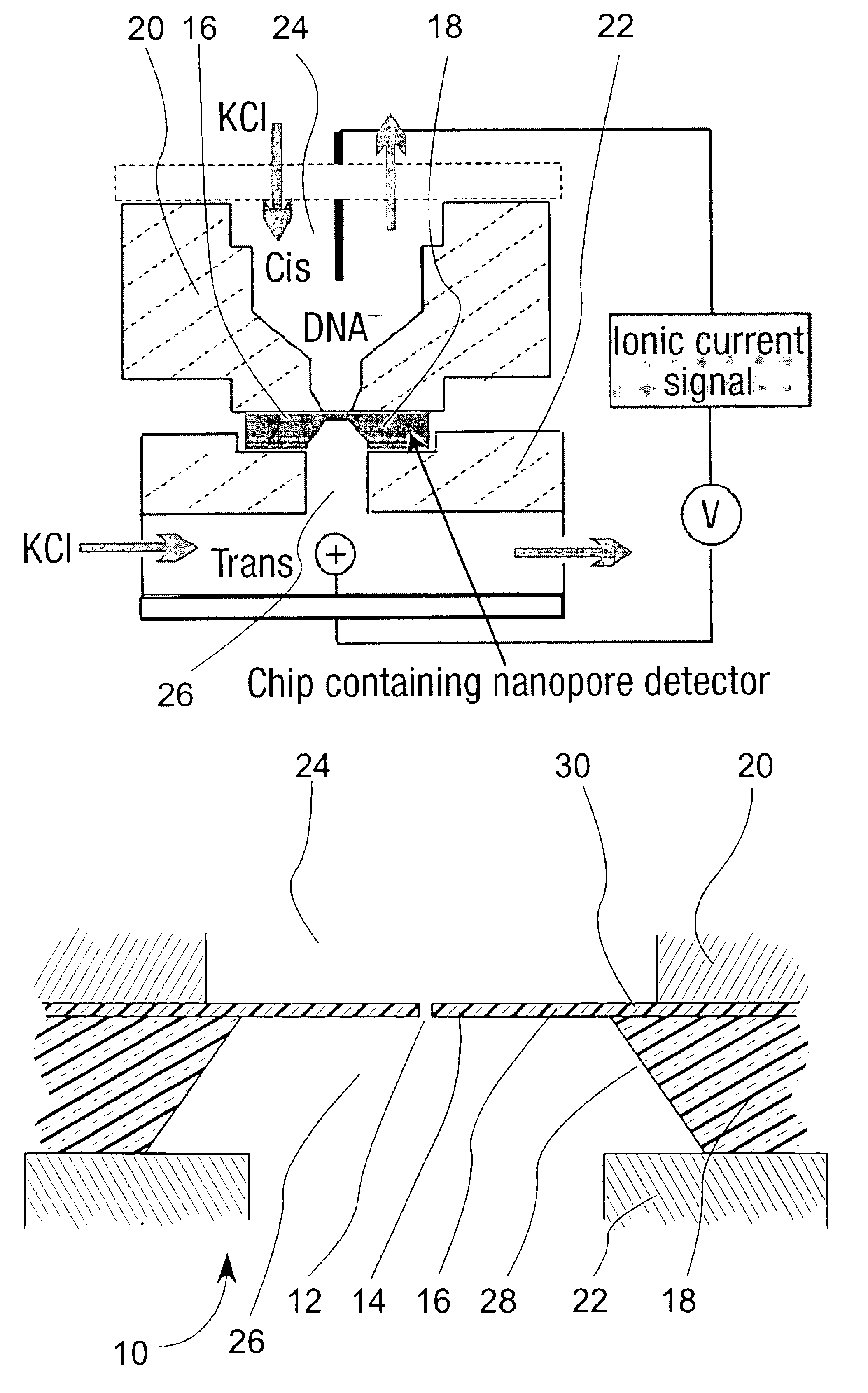 Nanopore chip with N-type semiconductor