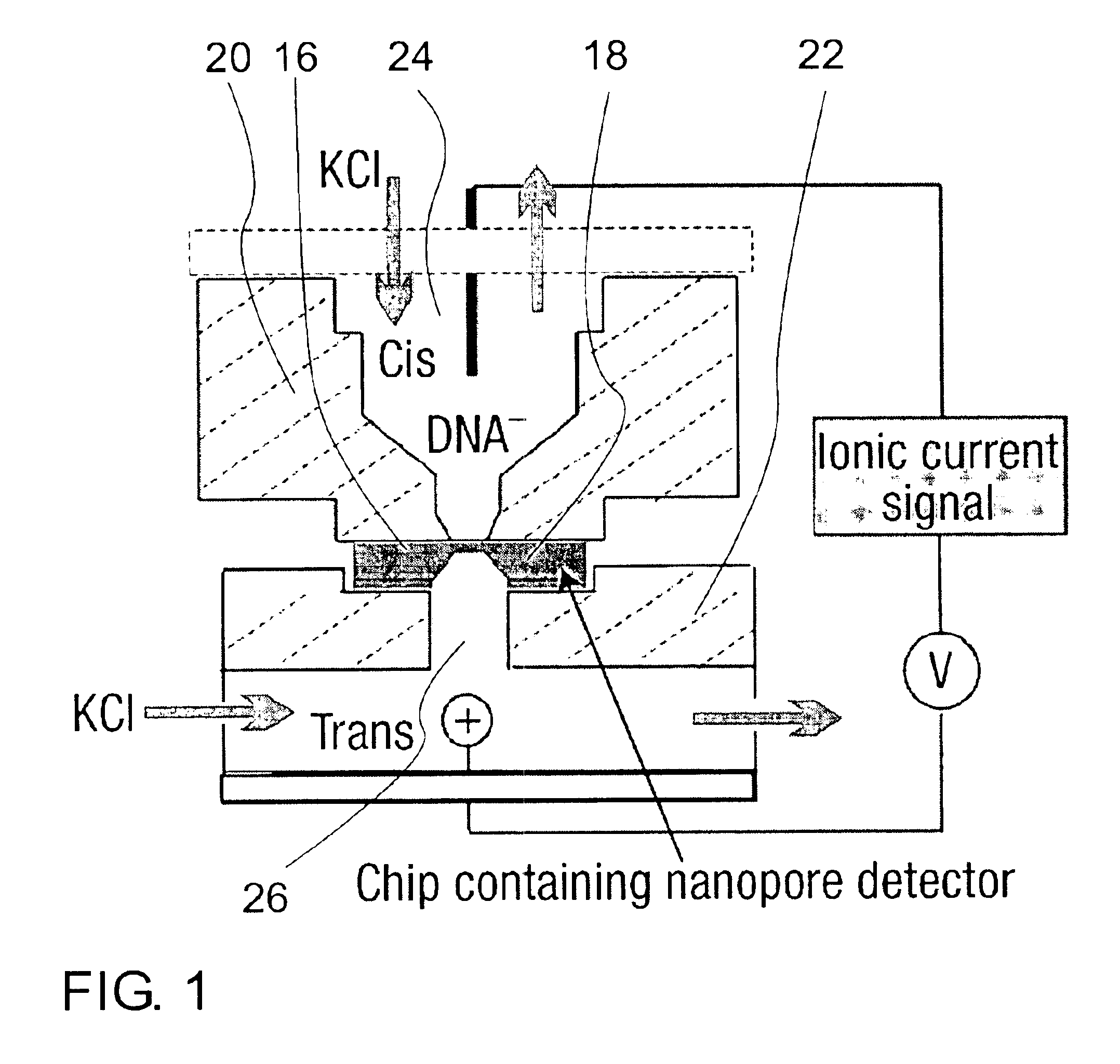 Nanopore chip with N-type semiconductor