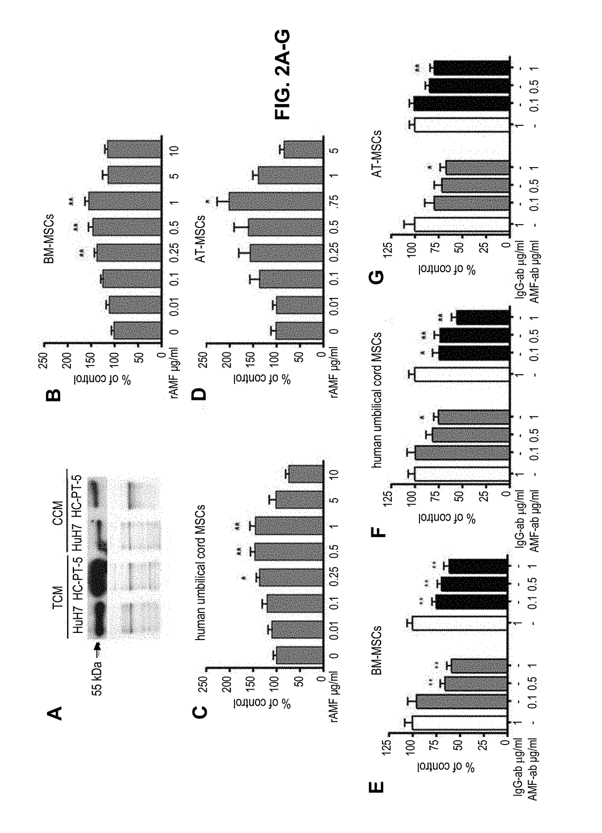 Compositions and methods for increasing mesenchymal stromal cell migration to tumors