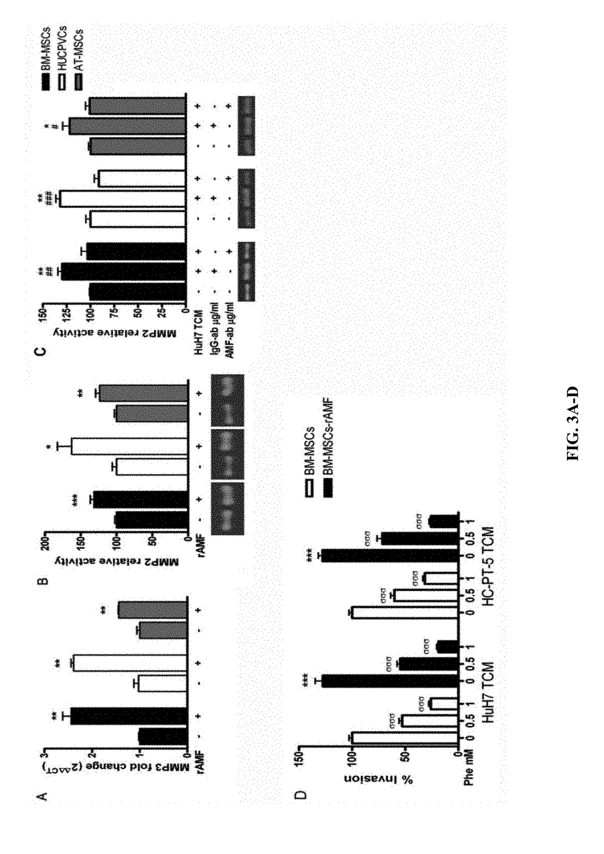 Compositions and methods for increasing mesenchymal stromal cell migration to tumors