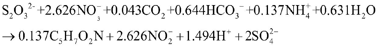 Culture method of sludge with synchronous sulfur autotrophic denitrification and anaerobic ammonia oxidation functions