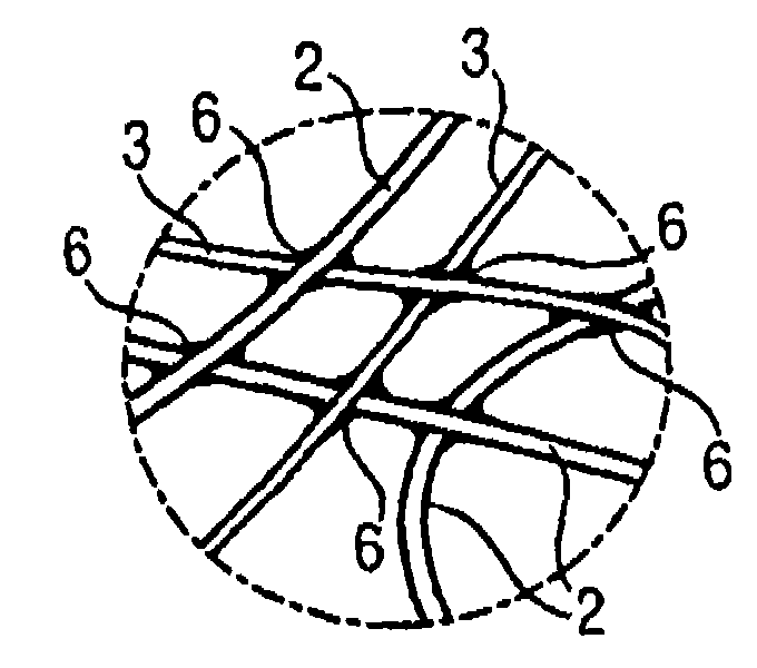 Composite shoe sole, footwear constituted thereof and method for producing the same