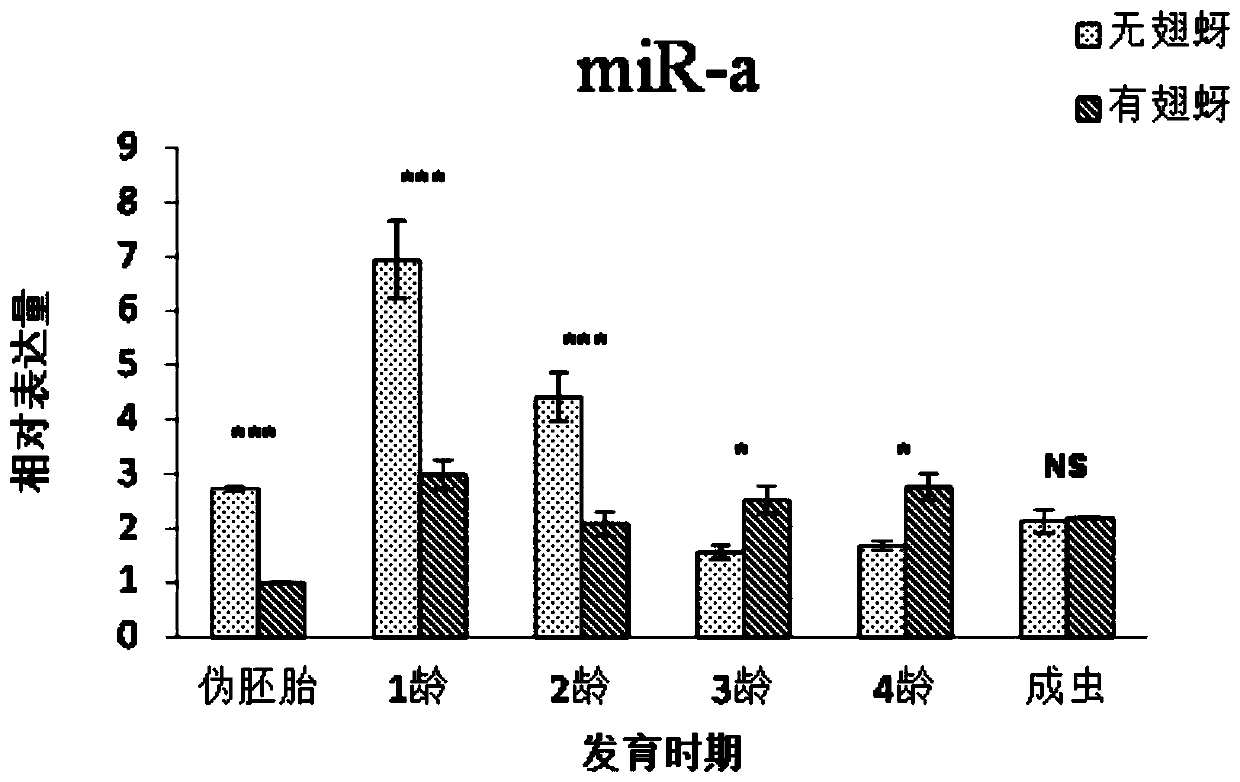 A method for rapid and directional acquisition of young nymphs