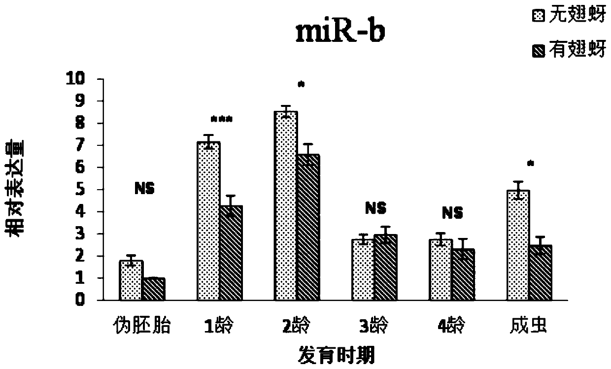 A method for rapid and directional acquisition of young nymphs