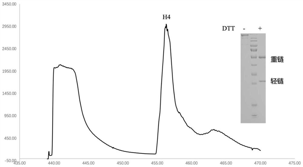 A kind of monoclonal antibody against novel coronavirus and application thereof