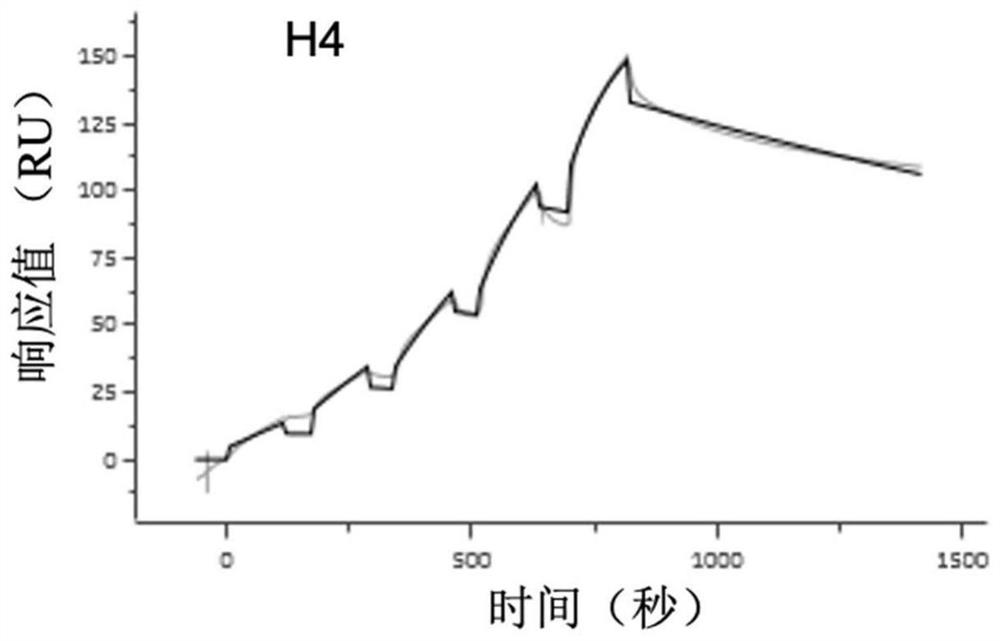 A kind of monoclonal antibody against novel coronavirus and application thereof