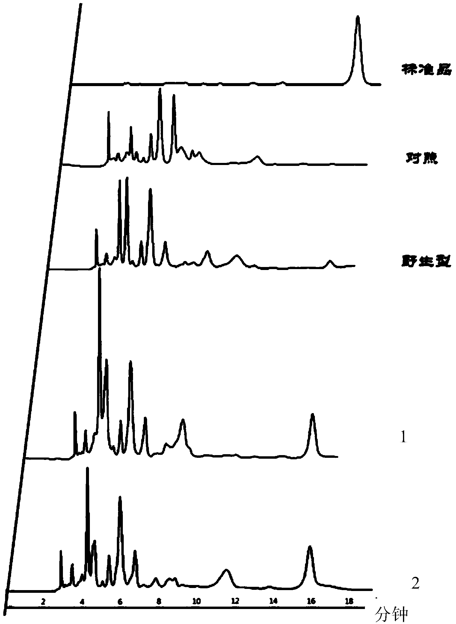 Biological production method of tanshinol