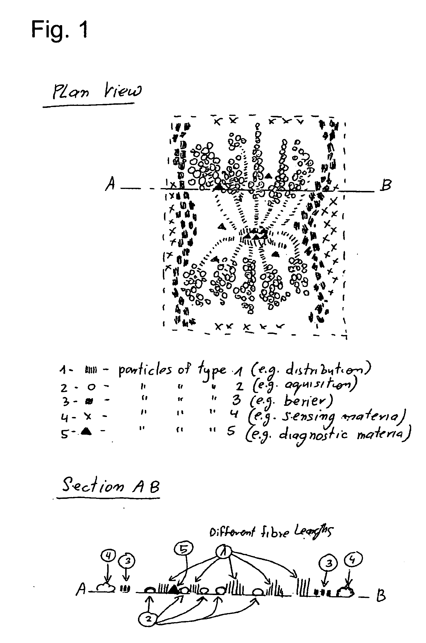 Method of producing absorptive areas for protective products