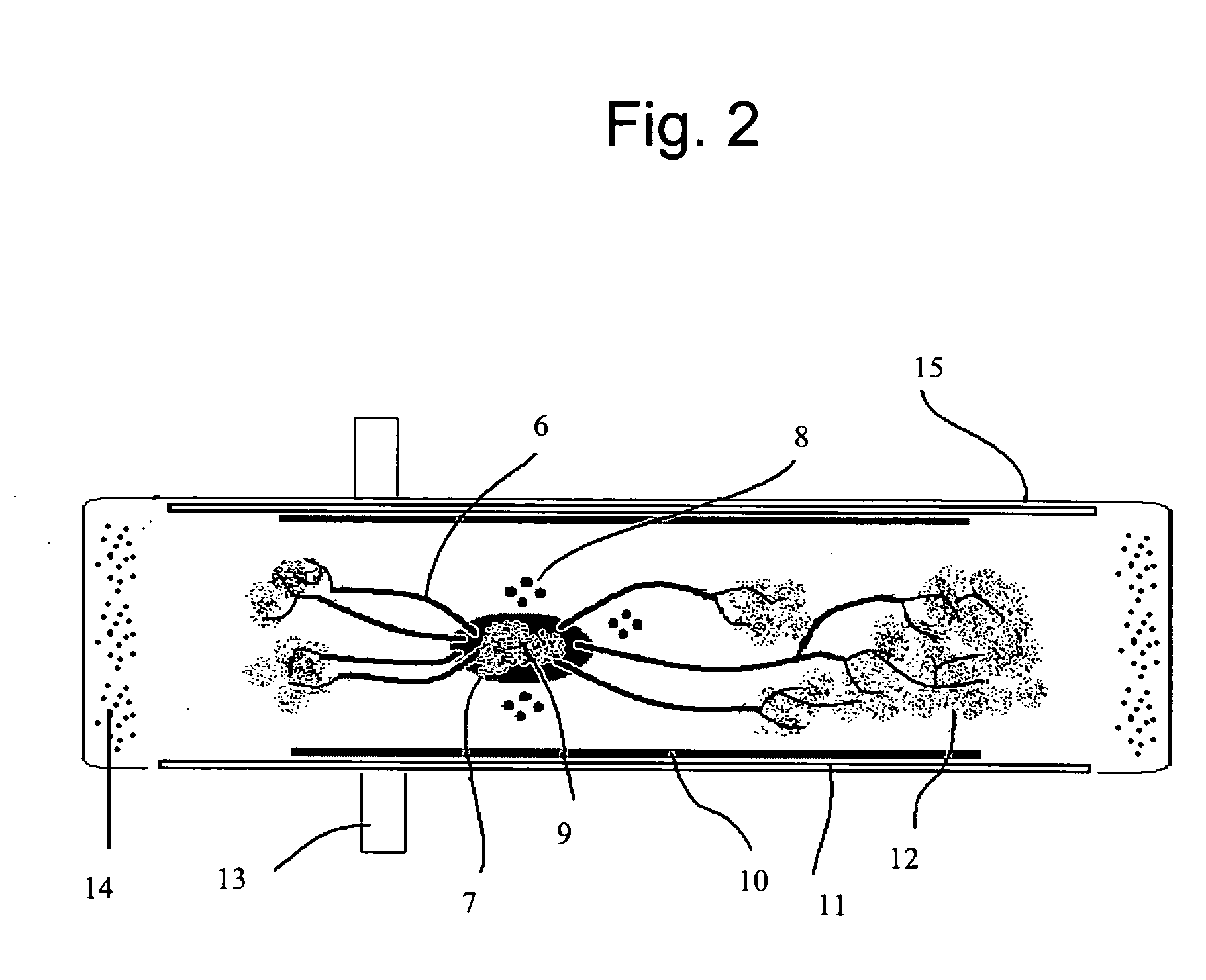 Method of producing absorptive areas for protective products