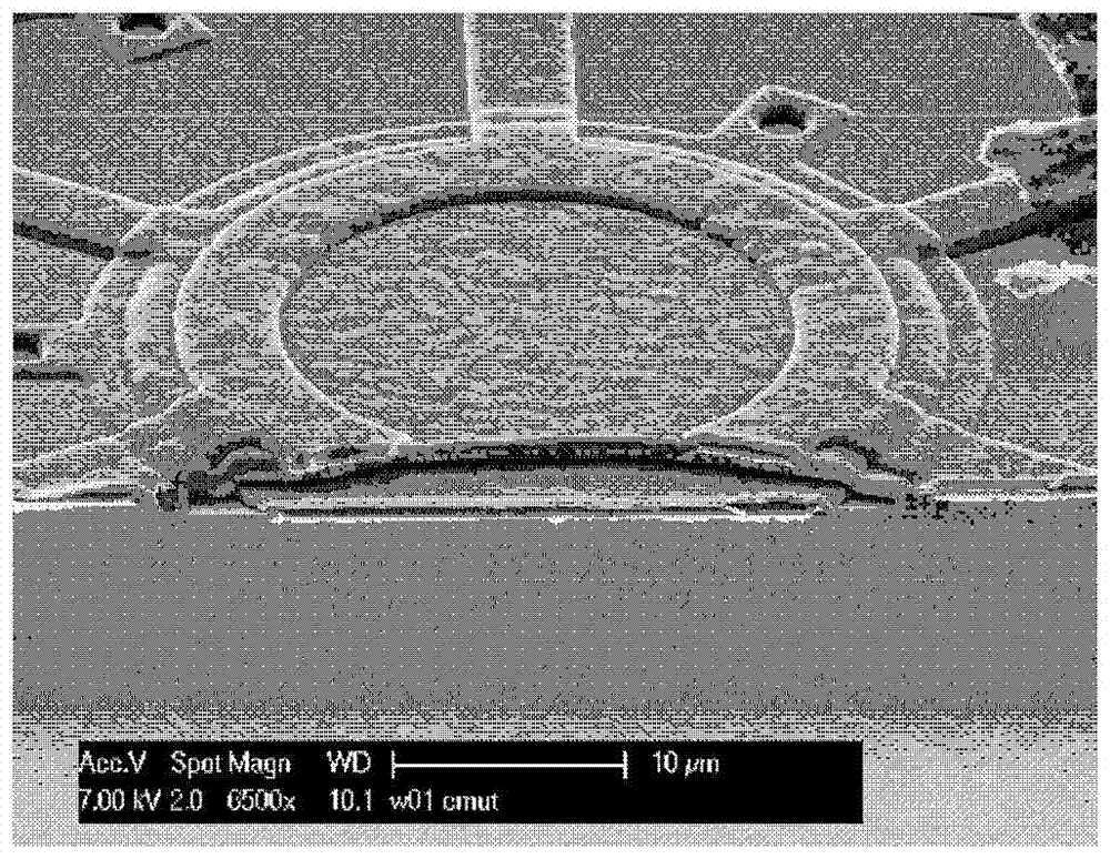 mems capacitive pressure sensor