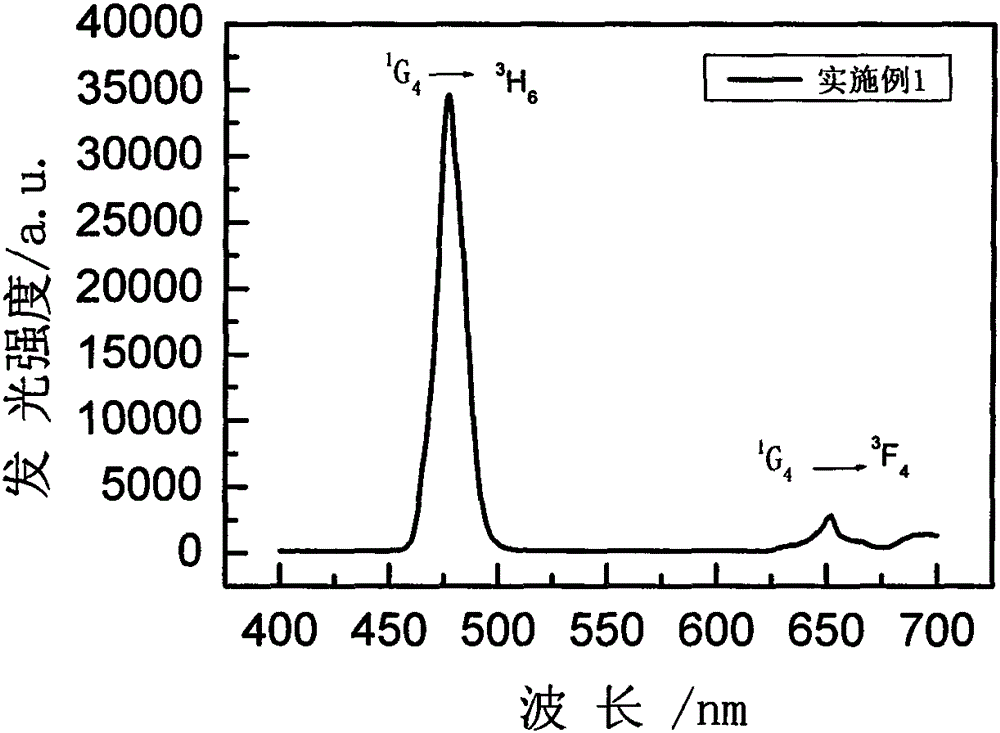 Rare earth ion doped CaBr2 glass ceramic and preparation method thereof