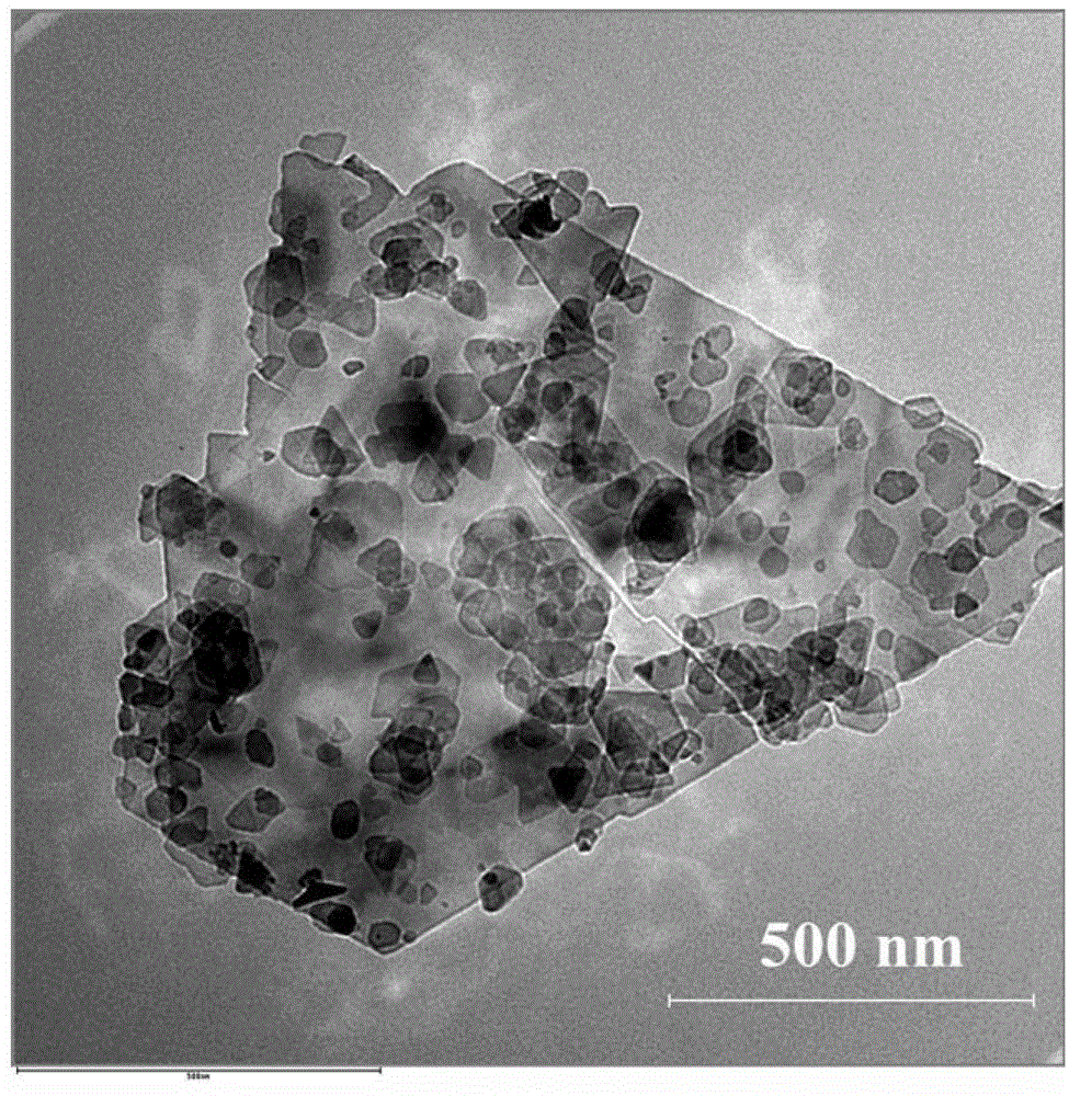 A kind of preparation method of graphite sheet-loaded barium ferrite nanoparticle composite material