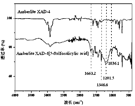 A kind of ion exchanger based on modified resin and preparation method thereof