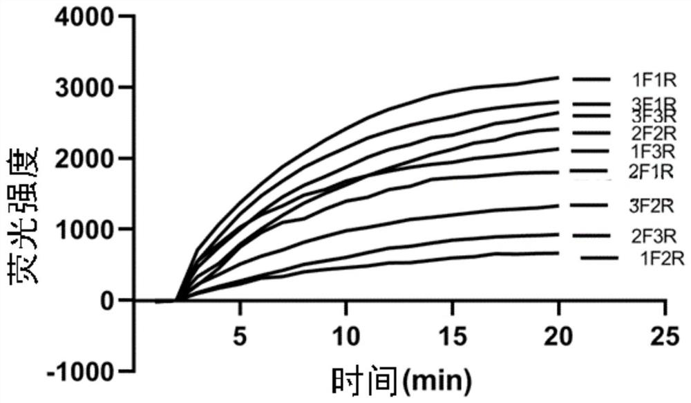 Koi herpesvirus RPA primer pair, probe and detection kit and application thereof