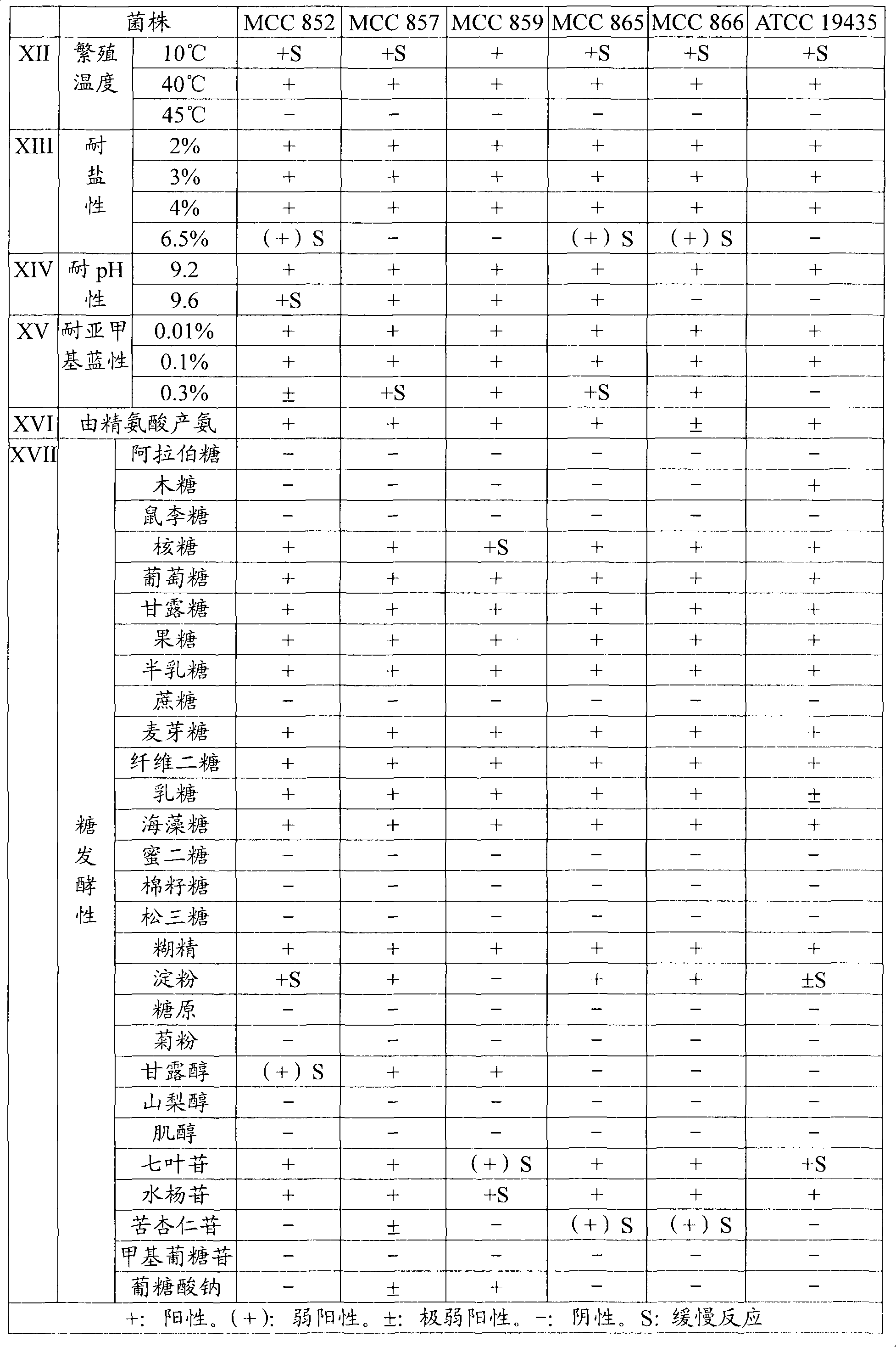 Method of producing fermented milk using novel lactic acid bacterium