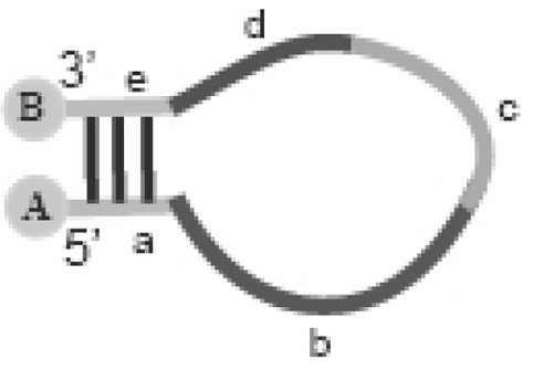 A kind of modified fluorescent probe and its application