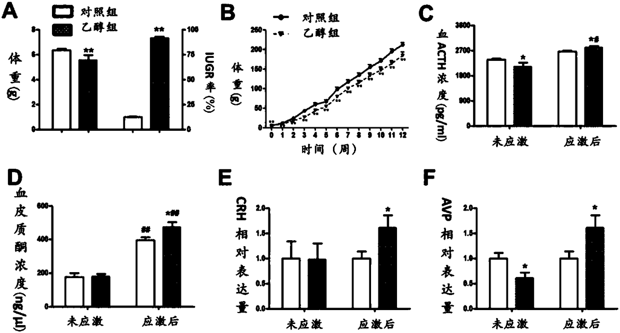 Application of GAD67 and epigenetic mark thereof which serve as early marker of fetal-original bipolar affective disorder susceptibility