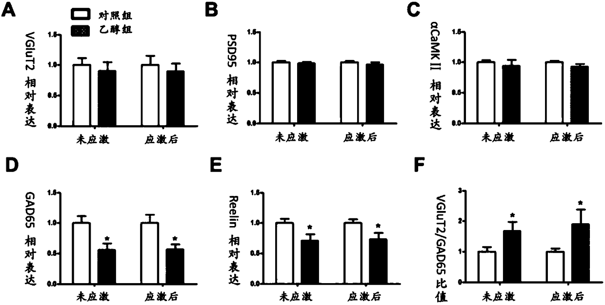 Application of GAD67 and epigenetic mark thereof which serve as early marker of fetal-original bipolar affective disorder susceptibility