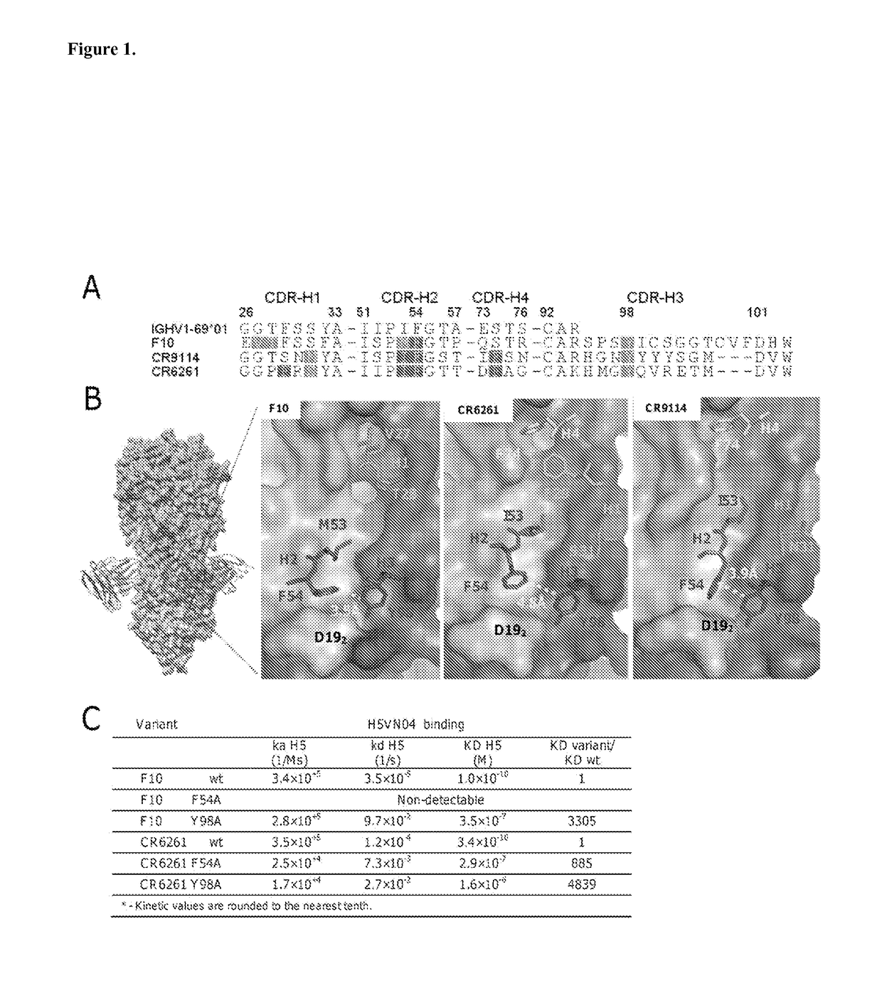 Immunogenetic restriction on elicitation of antibodies