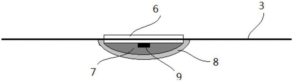 Organism surface electrical signal detecting electrode array