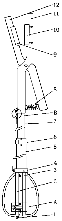 Device and method for picking of sorbus pohuashanensis fruits