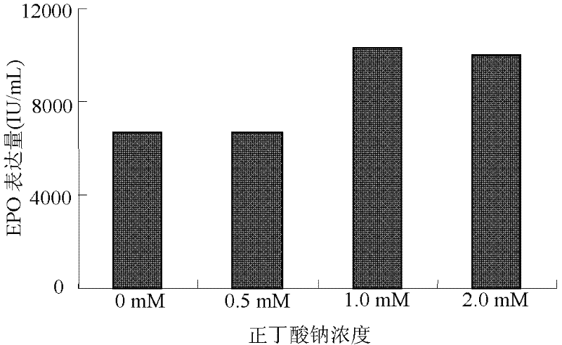 Culture method for highly expressing erythropoietin in serum-free medium and cho cells