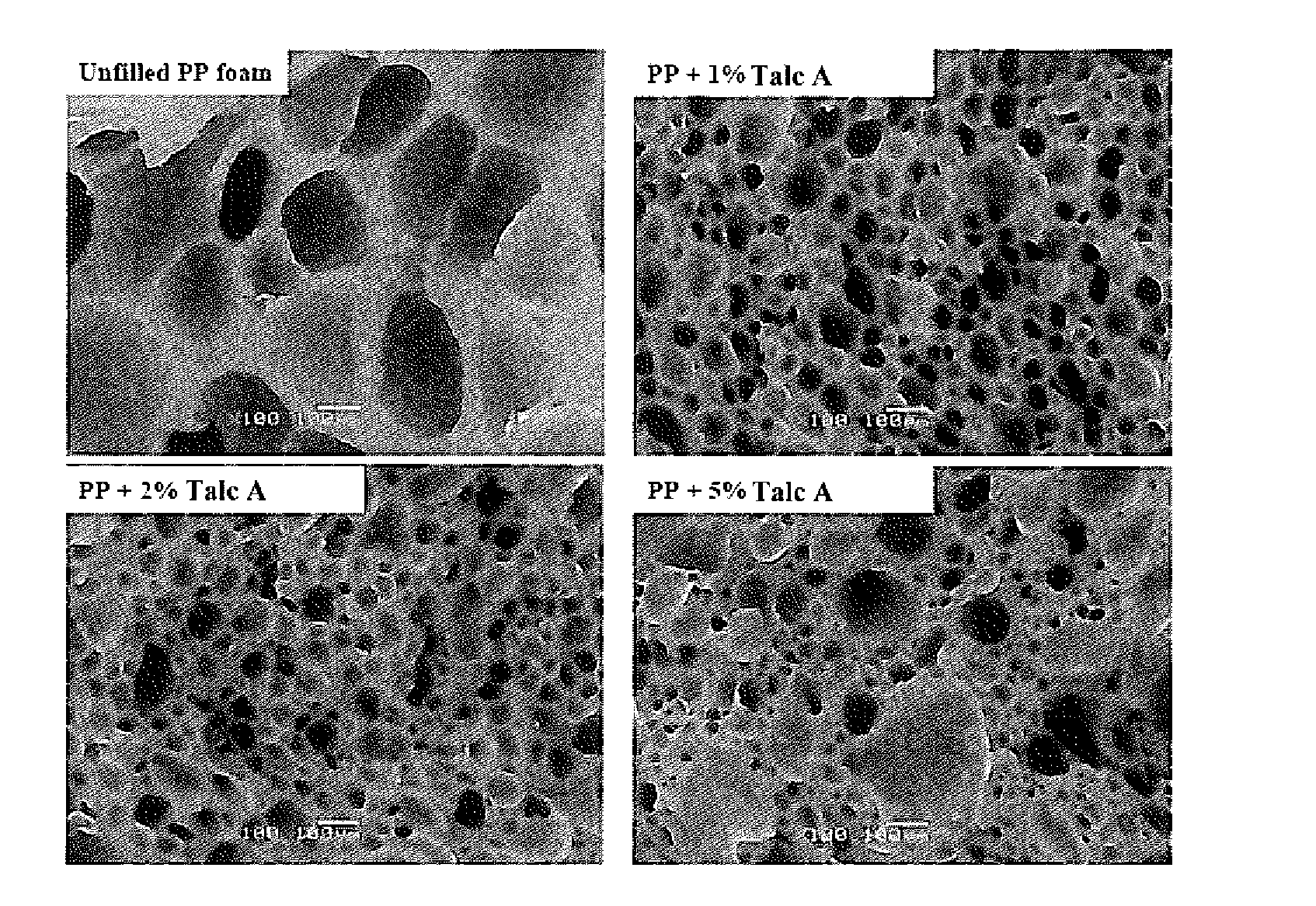 Nucleation efficiency of talc in the foaming behaviour and cellular structure of polymer-based foams