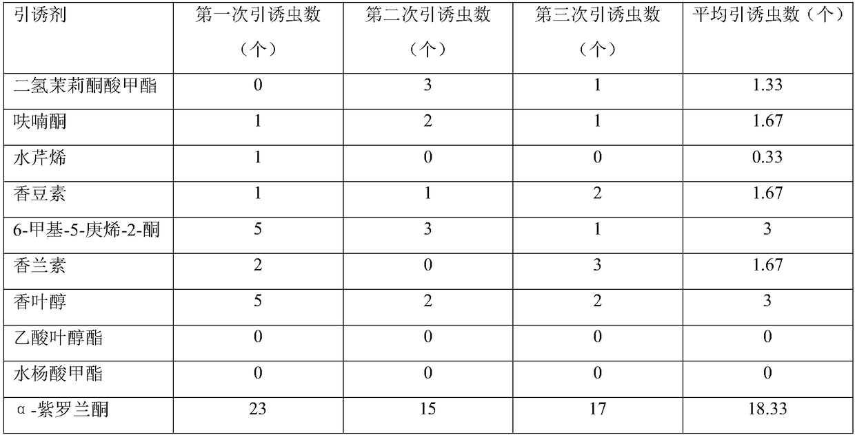 Attractant and lure used for attracting and controlling lasioderma serricorne