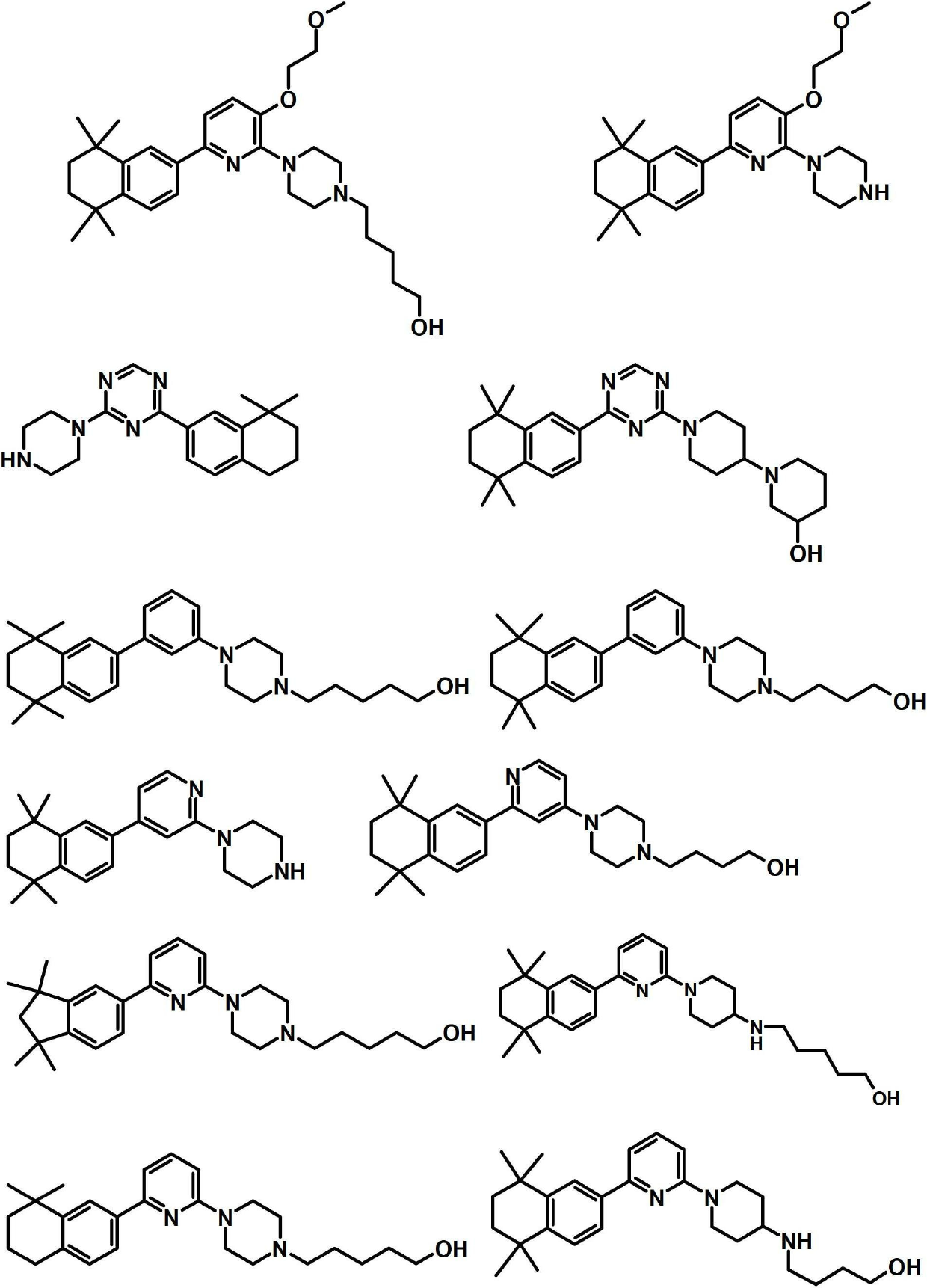 Sphingosine kinase inhibitors